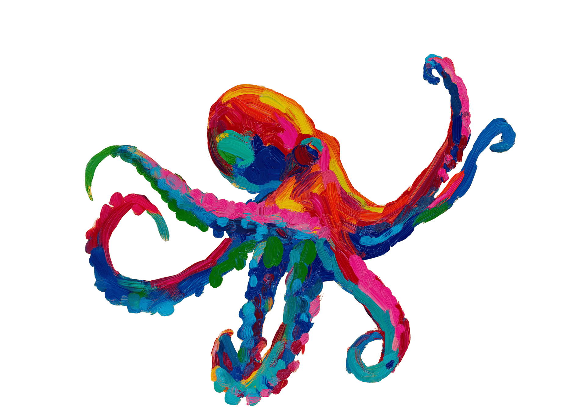 Octopus illustration